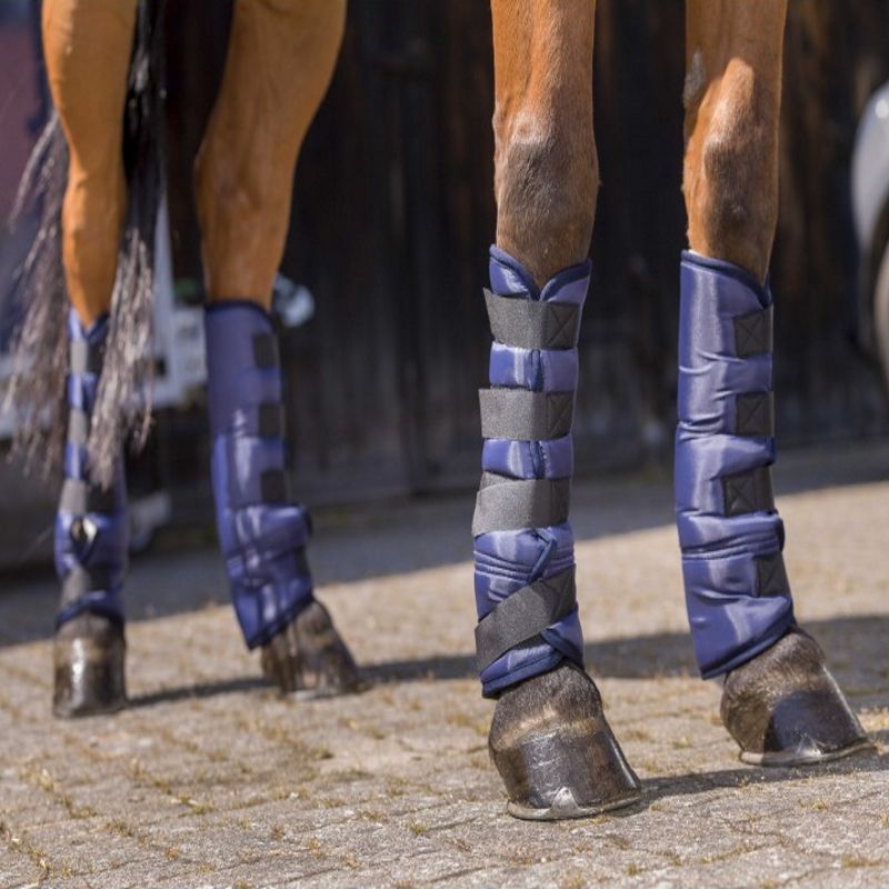 Guêtres de transport cheval hautes économiques (x4) - Riding World