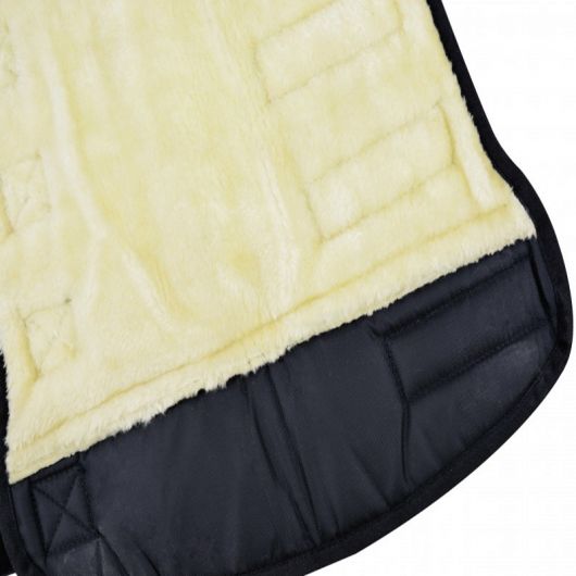 Guêtres de transport cheval hautes économiques (x4) - Riding World