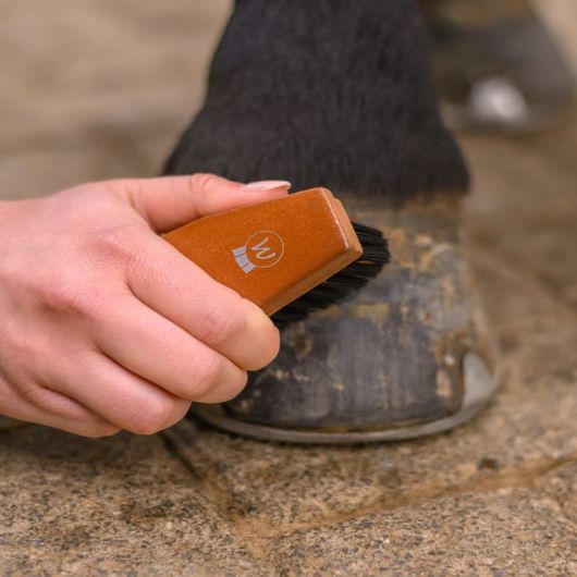Brosse à sabots Hard Wood - Waldhausen