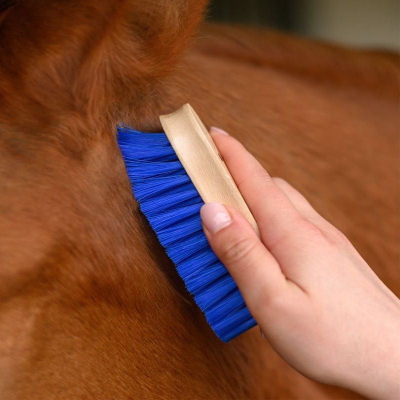 Brosse douce de tête - Waldhausen