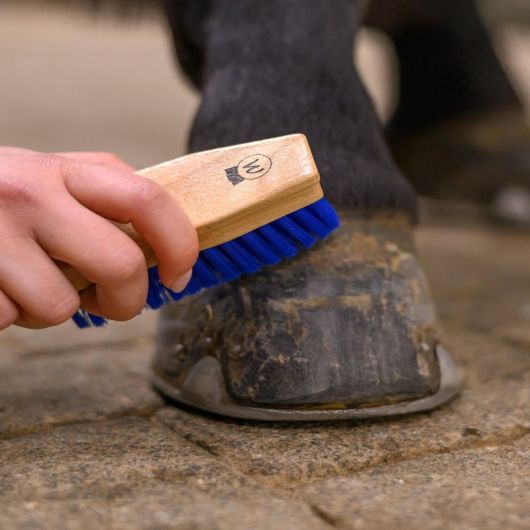 Brosse à sabot cheval - Waldhausen