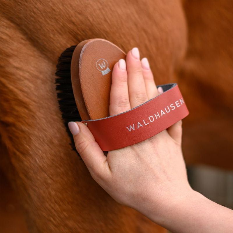 Bouchon poils courts Hard Wood - Waldhausen