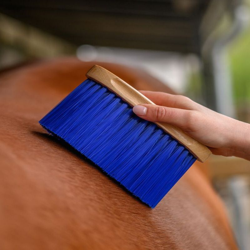 Brosse de finition cheval poils longs - Waldhausen