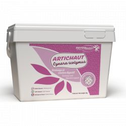 Artichaut - Drainage et soutien digestif cheval - Phyto Master