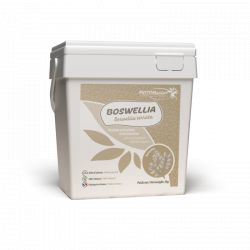 Boswellia - Soutien articulaire et locomoteur cheval - Phtyo Master