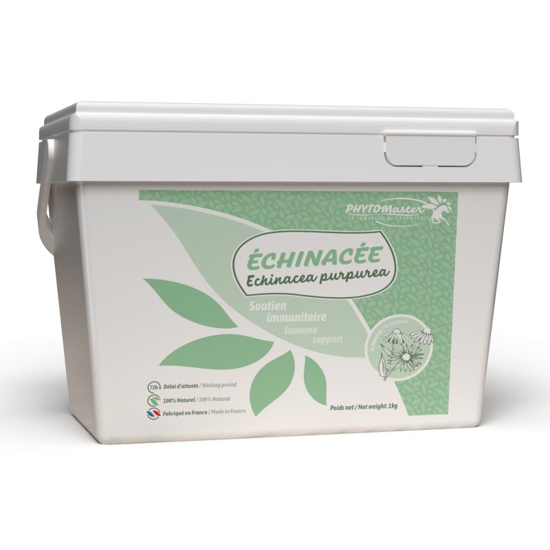 Échinacée - Soutien immunitaire naturel cheval - Phyto Master