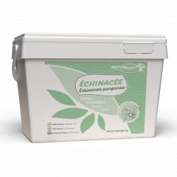 Échinacée - Soutien immunitaire naturel cheval - Phyto Master