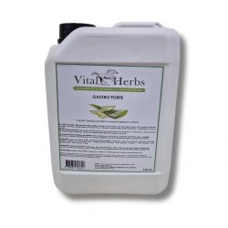 Gastro Forte - Pansement gastrique cheval2.5 L - Vital Herbs 