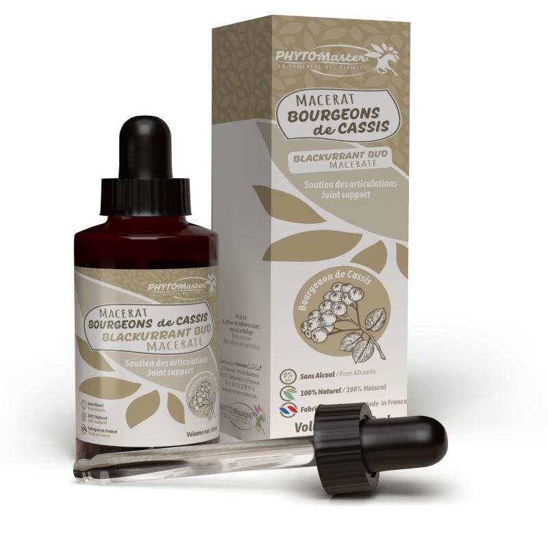 Macérat bourgeon de cassis - Gemmothérapie articulation cheval - Phyto Master