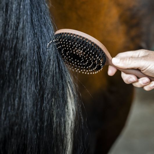 Brosse à crins cheval - Horseware 