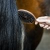 Brosse à crins cheval - Horseware 