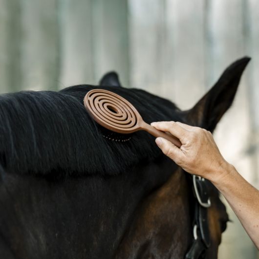 Brosse à crins cheval - Horseware 
