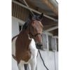 Licol + Longe cheval Start - Riding World 