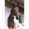 Licol + Longe cheval Start - Riding World 