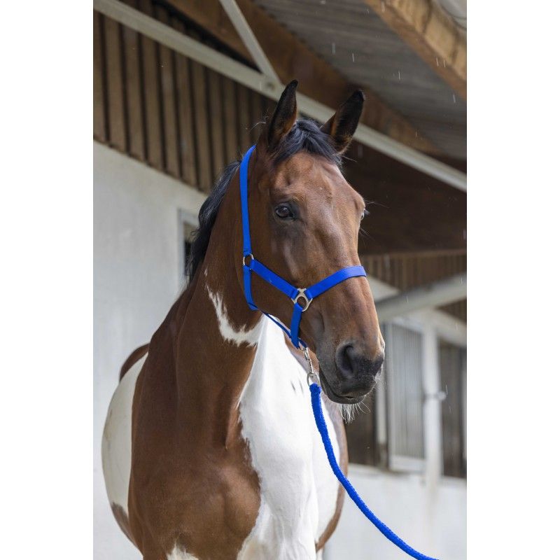 Licol + Longe cheval Start - Riding World 