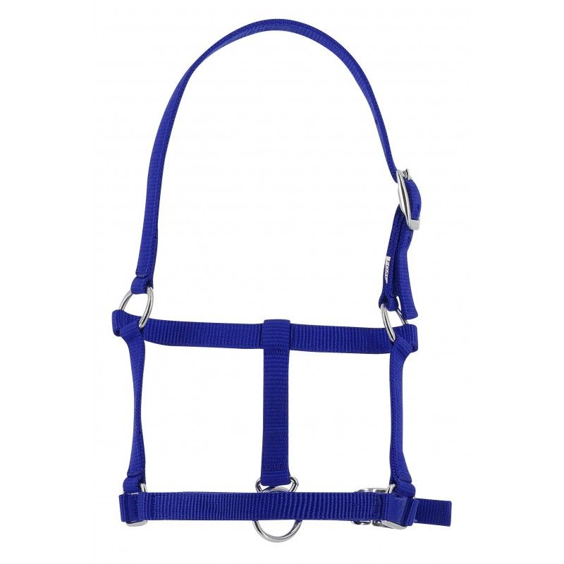 Licol poulain nylon - Riding World