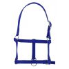 Licol poulain nylon - Riding World