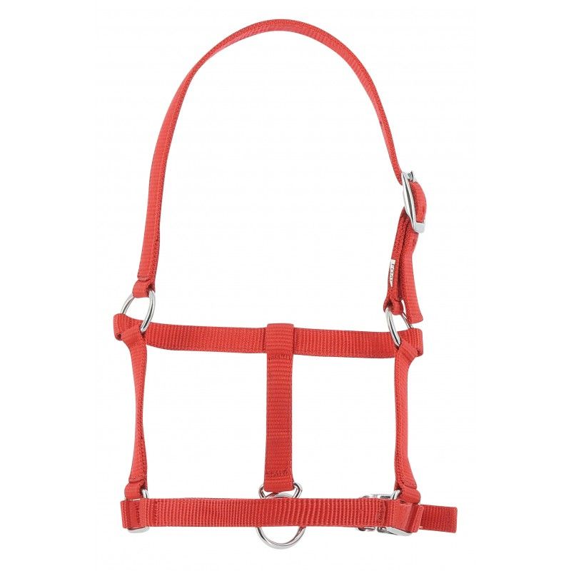 Licol poulain nylon - Riding World