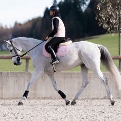 Tapis de selle cheval Lilibeth - SG by Harcour