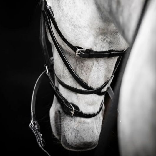 Bitless cuir anatomique cheval Micklem - Horseware