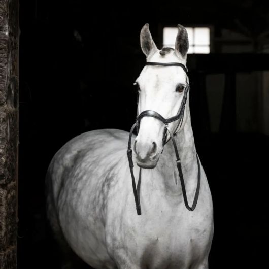 Bitless cuir anatomique cheval Micklem - Horseware