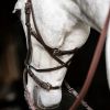 Bitless cuir anatomique cheval Micklem - Horseware