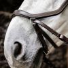 Bitless cuir anatomique cheval Micklem - Horseware