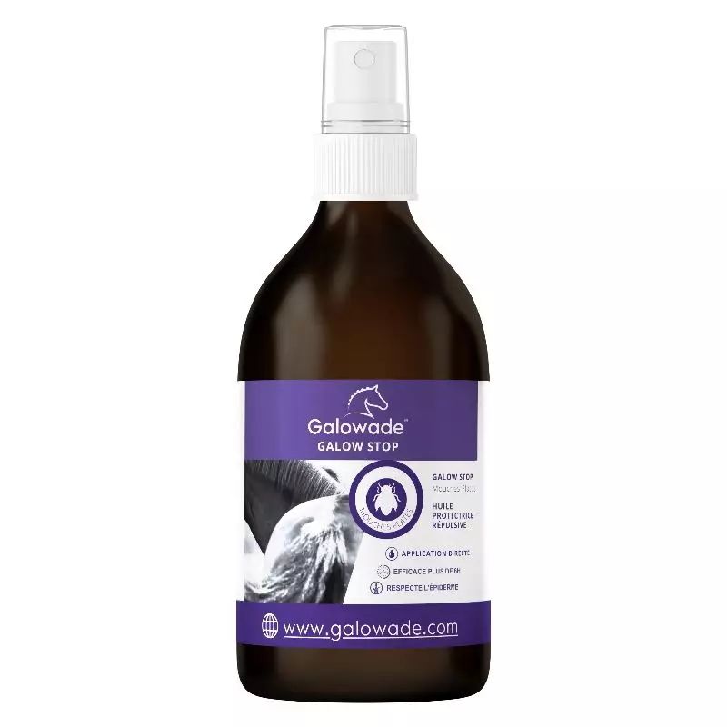 Galow stop mouches plates cheval Date courte - Galowade