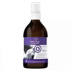 Galow stop mouches plates cheval Date courte - Galowade