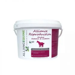 Alliance Reproduction Minéral jument et étalon Date courte - Alliance Equine