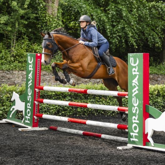 Masque anti-stress cheval Ionic - Horseware