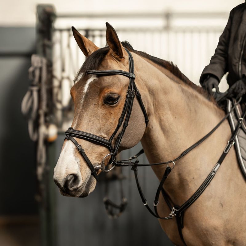 Bridon cuir cheval têtière anatomique Milano - HFI