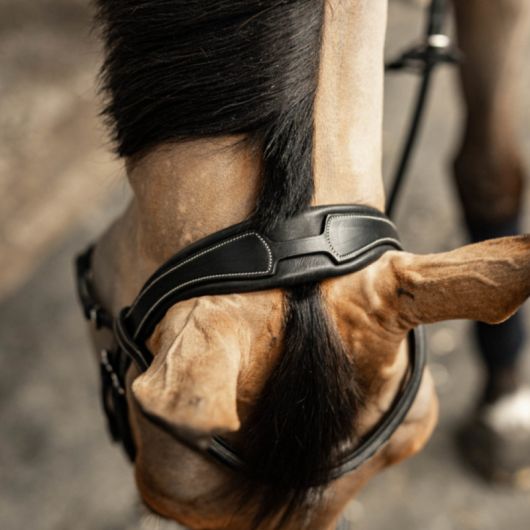 Bridon cuir cheval têtière anatomique Milano - HFI