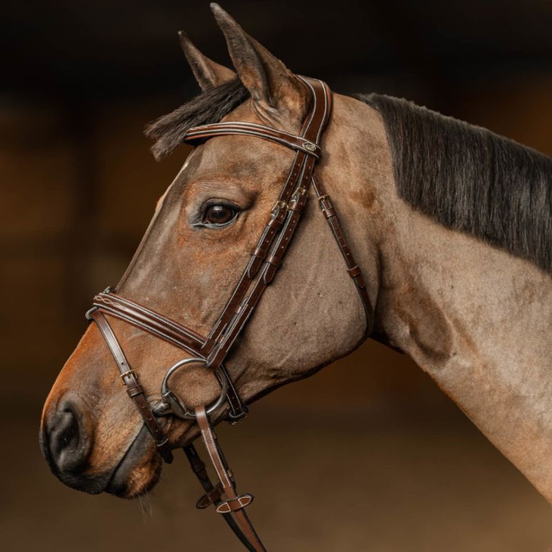 Bridon cuir cheval têtière anatomique Milano - HFI