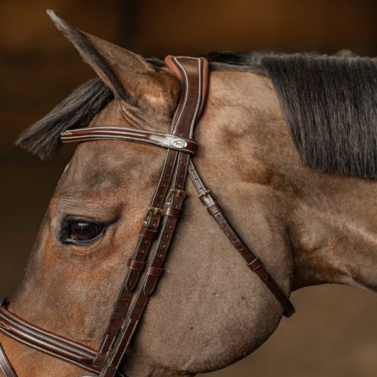 Bridon cuir cheval têtière anatomique Milano - HFI