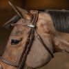 Bridon cuir cheval têtière anatomique Milano - HFI