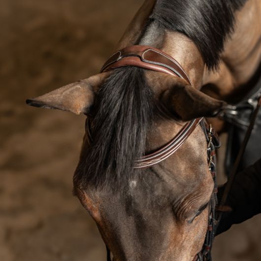 Bridon cuir cheval têtière anatomique Milano - HFI
