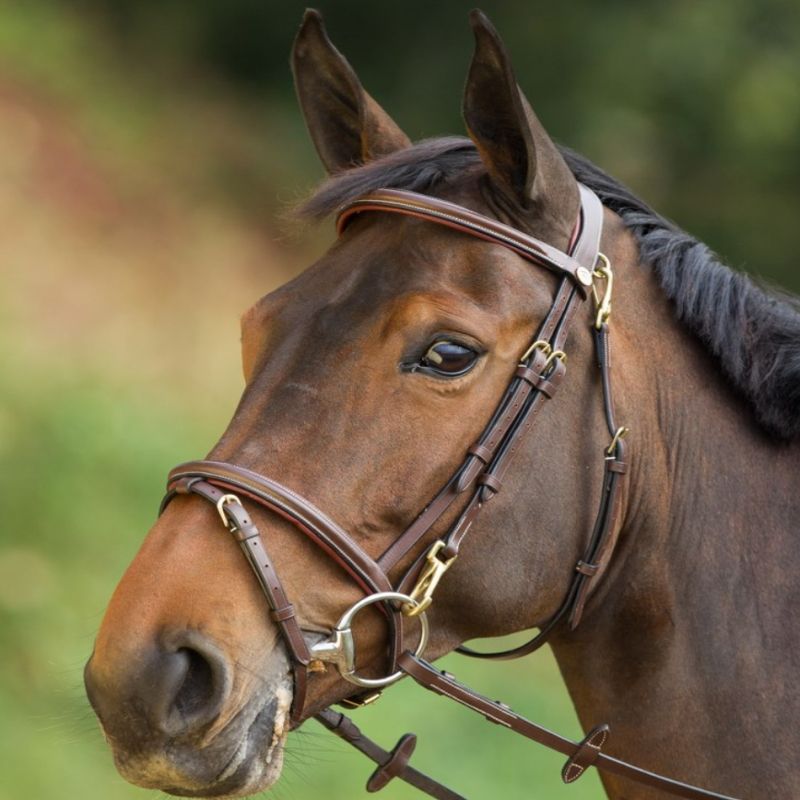 Bridon cuir cheval Functional - HFI