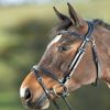 Bridon cuir cheval Functional - HFI