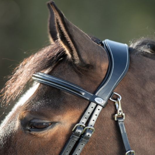 Bridon cuir cheval Functional - HFI