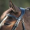 Bridon cuir cheval Functional - HFI