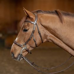 Bridon cuir cheval pour Hackamore - HFI