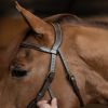 Bridon cuir cheval pour Hackamore - HFI
