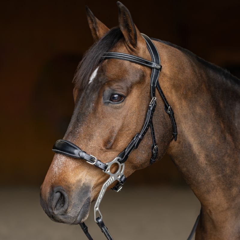 Bridon cuir cheval pour Hackamore - HFI