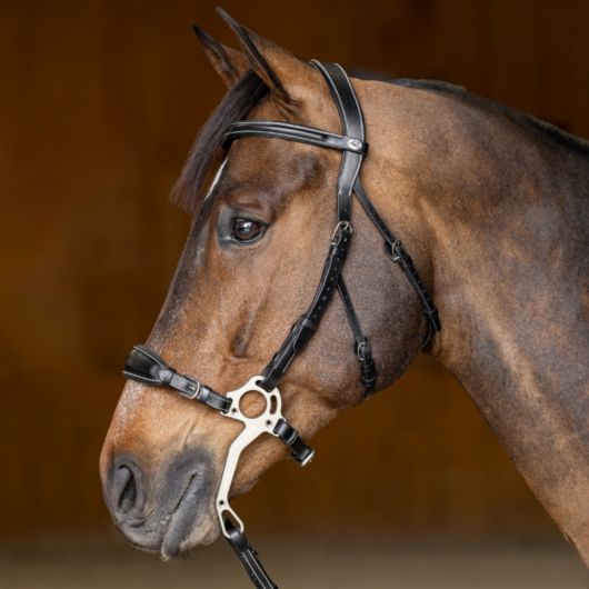 Bridon cuir cheval pour Hackamore - HFI