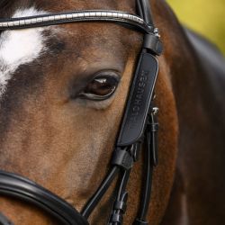 Montants demi-oeillères cheval - Waldhausen