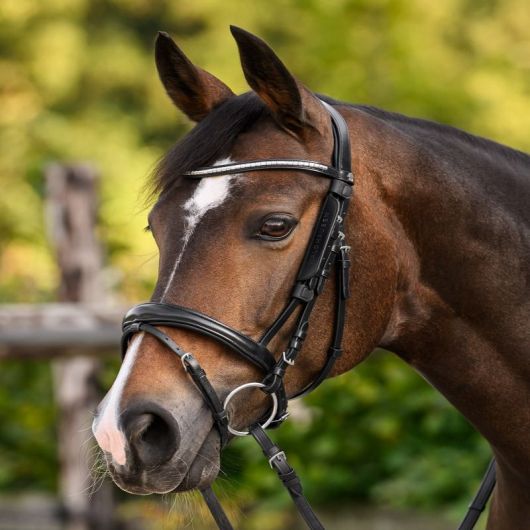 Montants demi-oeillères cheval - Waldhausen