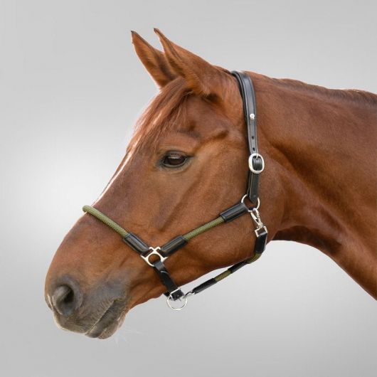 Licol cheval en cuir corde Nevada - Waldhausen