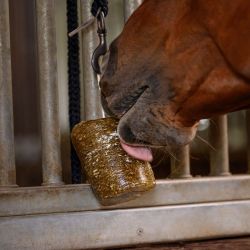 Pierre à lécher cheval aux herbes StableSnack 1kg - Waldhausen