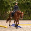 Barres au sol cheval en mousse x 2 - Waldhausen